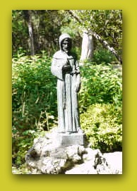 A Saint standing watch in the Lady Bird Johnson Wildflower Center